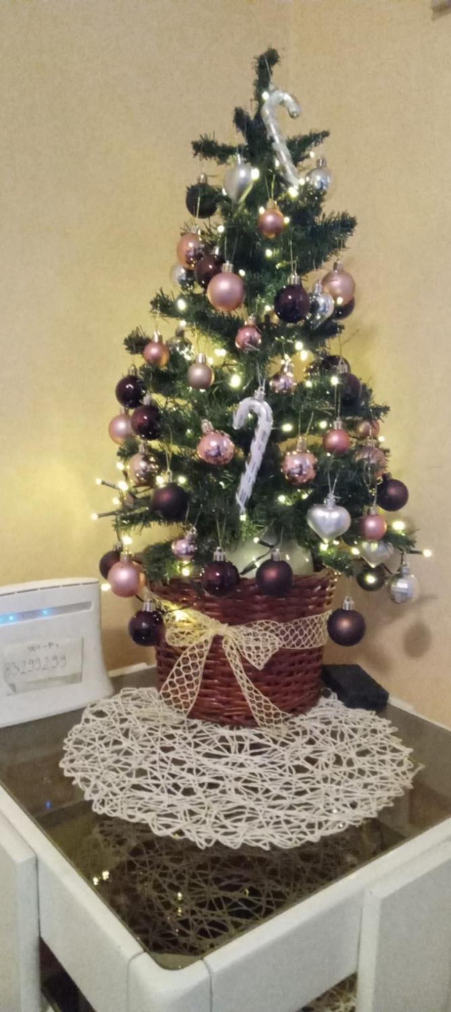 Apartment Andjela Zlatibor Cameră foto